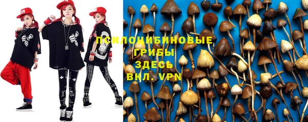 бутик Няндома